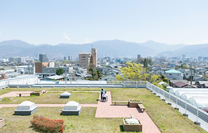 自然の涼風を感じる屋上庭園